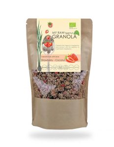 AIP Granola